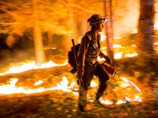 Sequoia national woodland managed fire